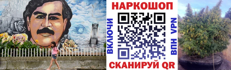 Наркошоп купить АМФЕТАМИН  Alpha PVP  Меф мяу мяу  Экстази  Галлюциногенные грибы  Гашиш  Каннабис  Большой Камень