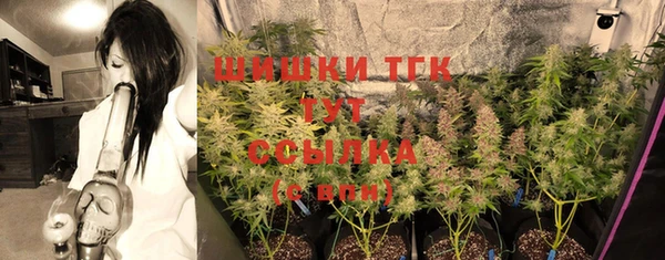 соль ск Аркадак